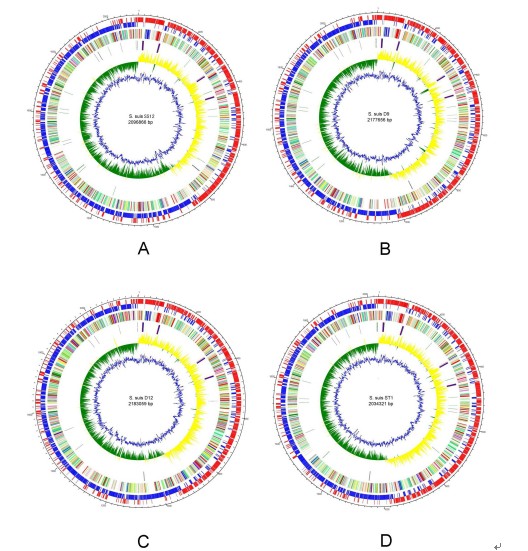 Virulence Potential and Phylogenetic Relationships Among Streptococcus Suis