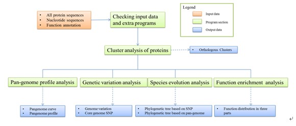 PGAP: A New Pan-Genomes Analysis Pipeline