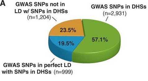 Systematic Connecting Common Disease-associated Variation with Regulatory DNA