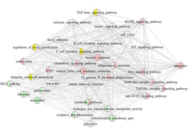 Characteristic Transformation of Blood Transcriptome in Alzheimer’s Disease