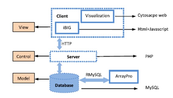 iBIG: An Integrative Network Tool for Supporting Human Disease Mechanism Studies