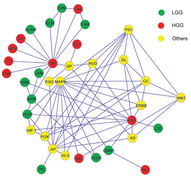 Different Molecular Signatures in Genomic Variations Found Between Low-Grade and High-Grade Gliomas