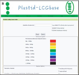 Plastid-LCGbase: A Database for Structural Variation of Plastid Genomes