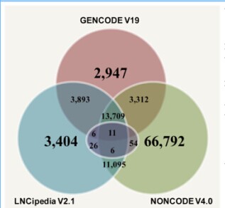 LncRNAWiki: harnessing community knowledge in collaborative curation of human long non-coding RNAs