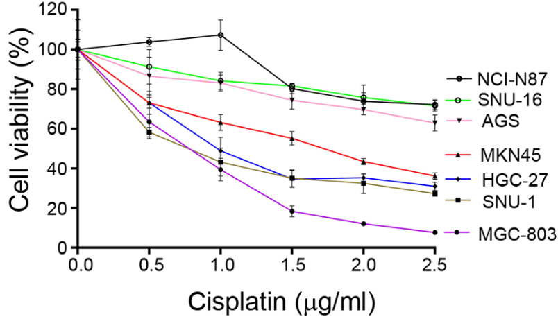 Human Helicase RECQL4 Drives Cisplatin Resistance in Gastric Cancer