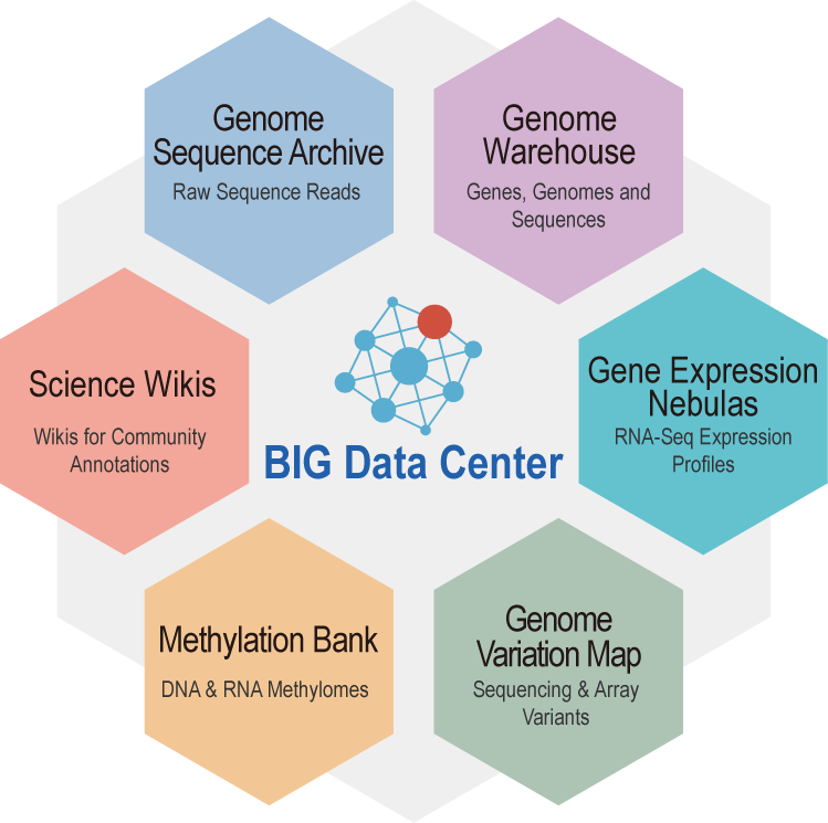 The BIG Data Center: From Deposition to Integration to Translation