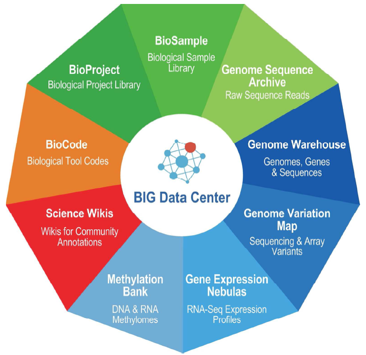 Database Resources of the BIG Data Center in 2018