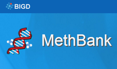 MethBank 3.0: A Database of DNA Methylomes Across A Variety of Species in BIG Data Center