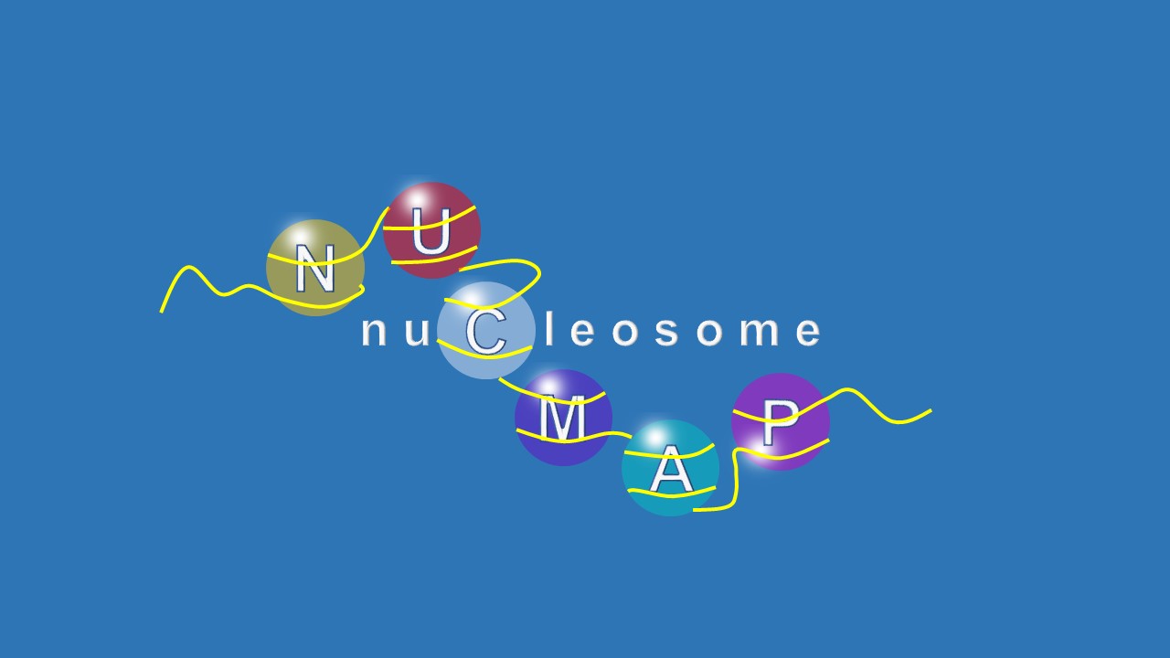 NucMap: A Database of Genome-wide Nucleosome Positioning Map Across Species