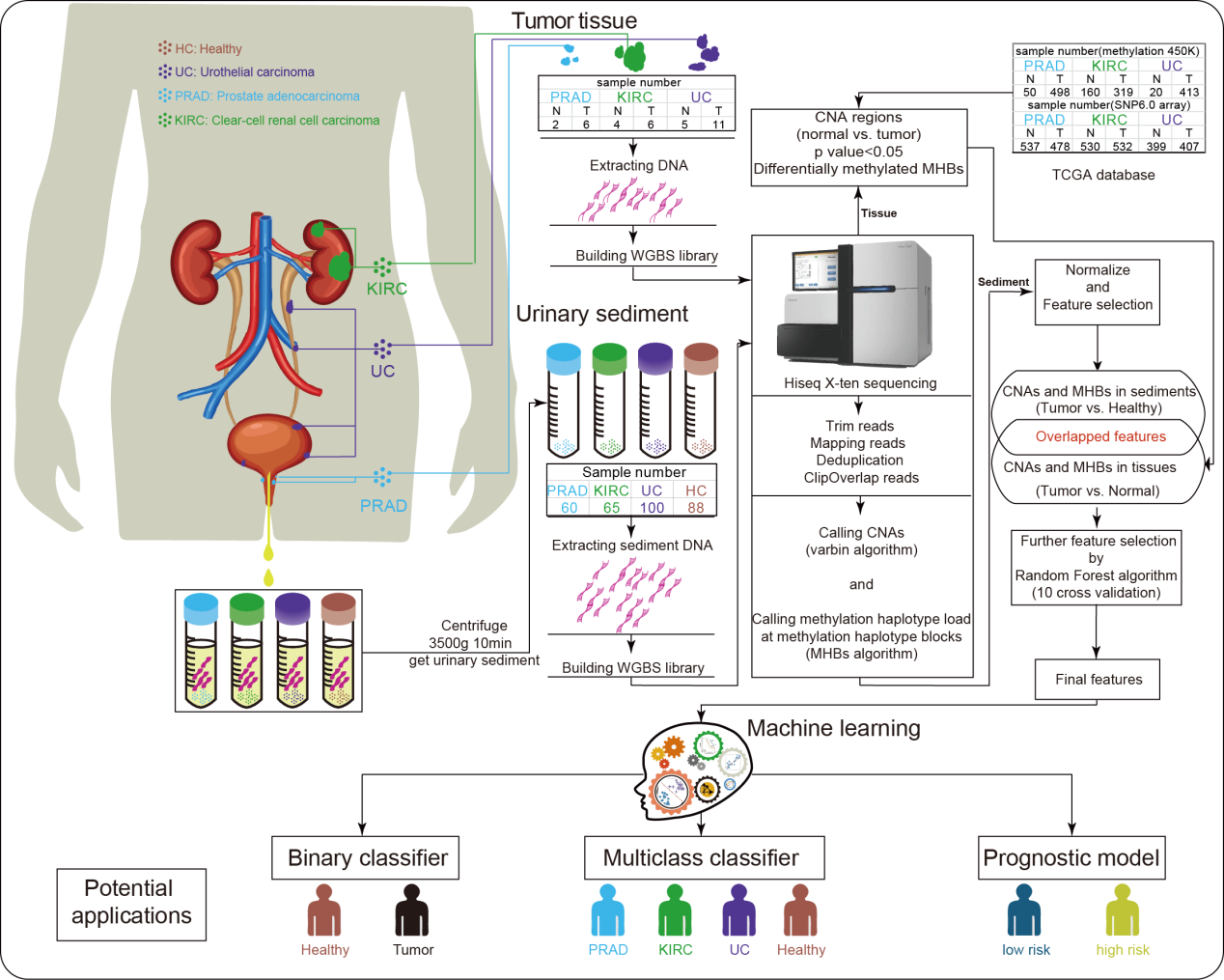 Scientists Develop A Liquid Biopsy Technique for the Diagnosis and Prognosis of Genitourinary Tumors