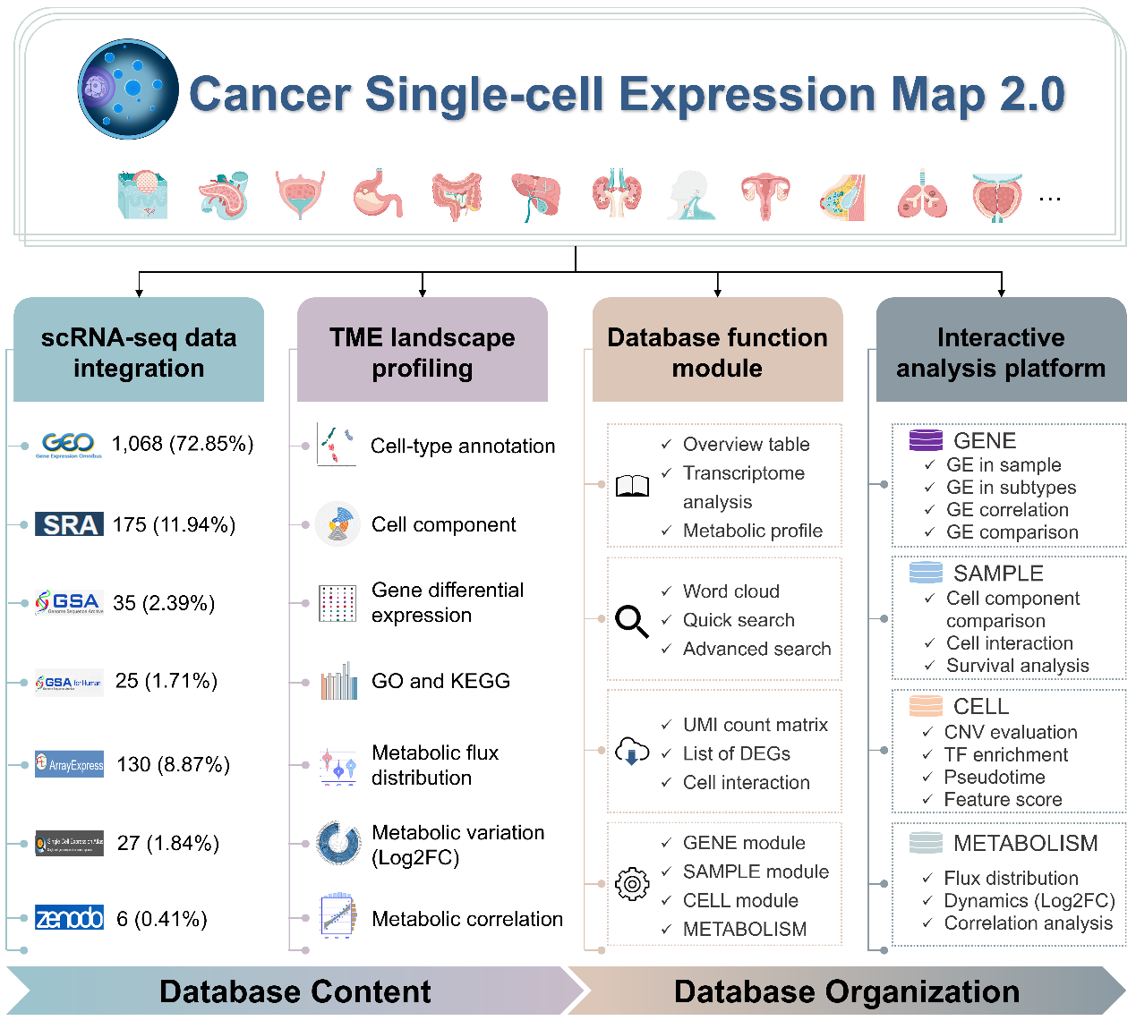 CancerSCEM 2.0: An Updated Data Resource of Single-cell Expression Map Across Various Human Cancers